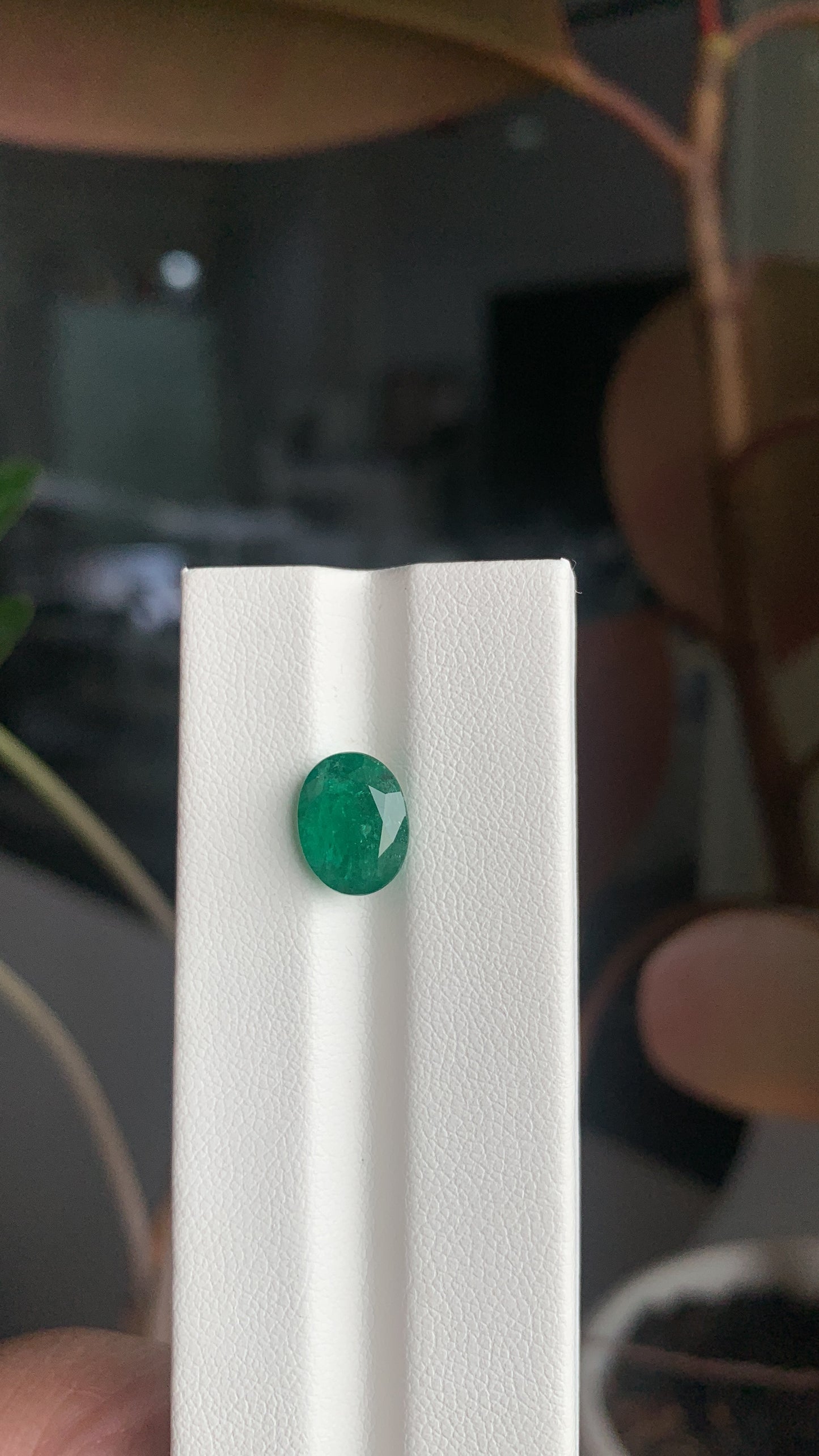 EX-039 Emerald Oval 2.64cts 10.07 x 7.84 x 5.38 mm