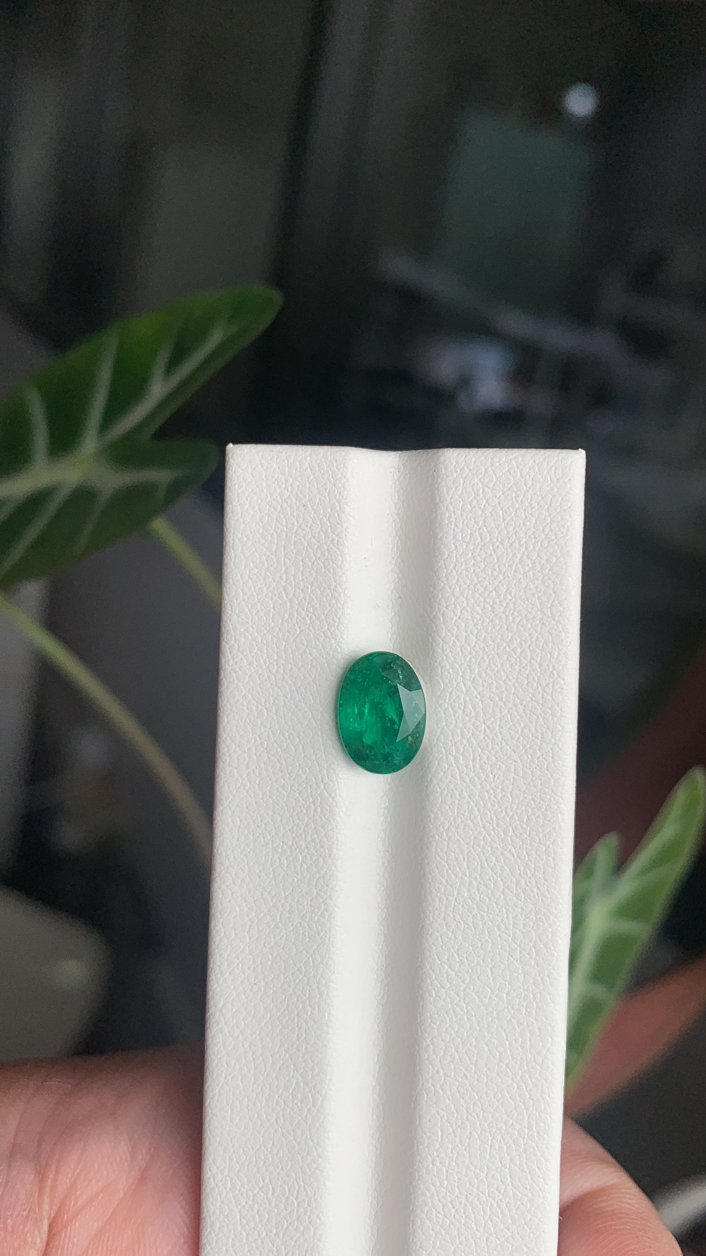 EX-050 Emerald Oval 1.91cts 9.69 x 6.93 x 4.54 mm