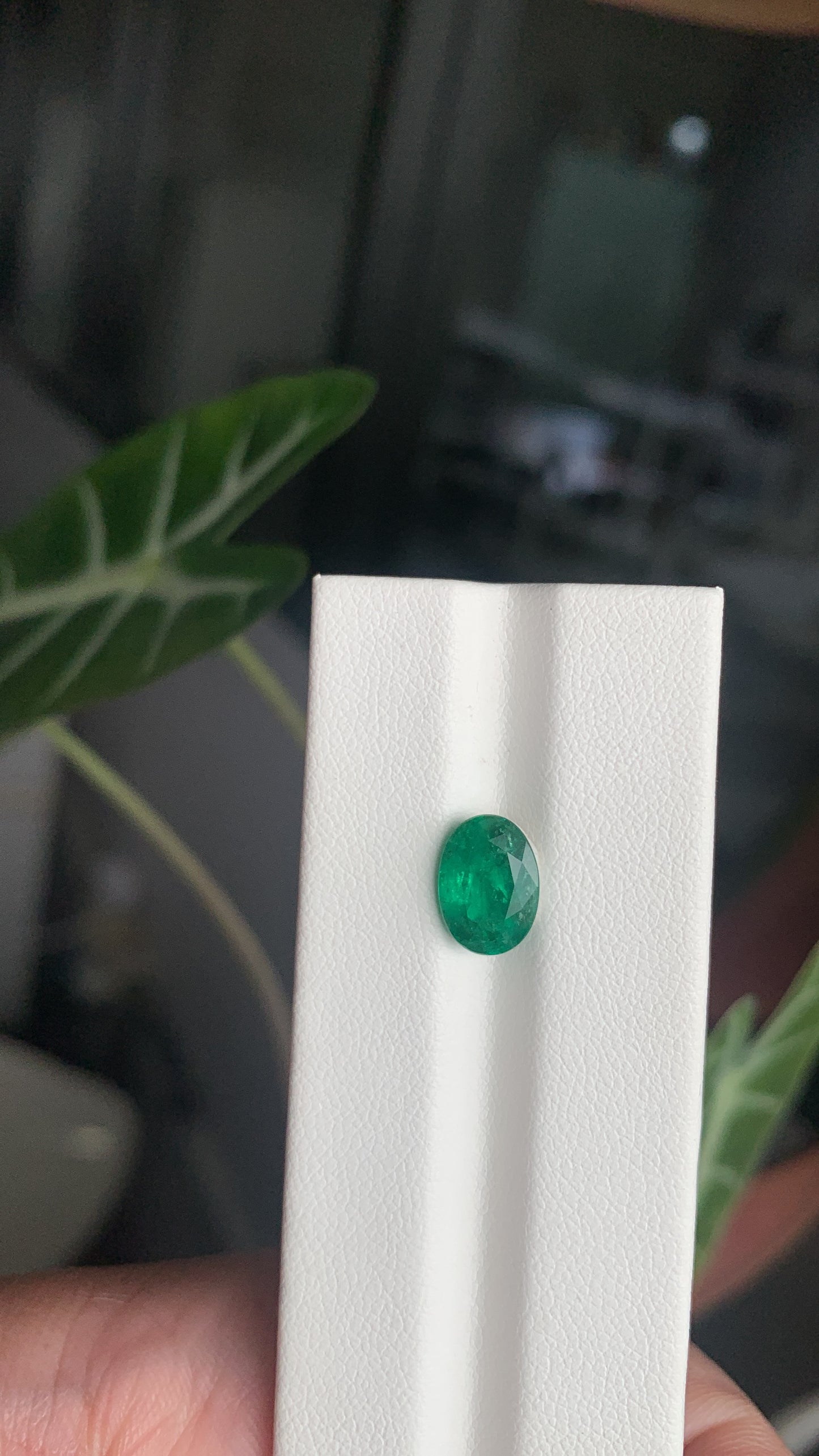 EX-050 Emerald Oval 1.91cts 9.69 x 6.93 x 4.54 mm