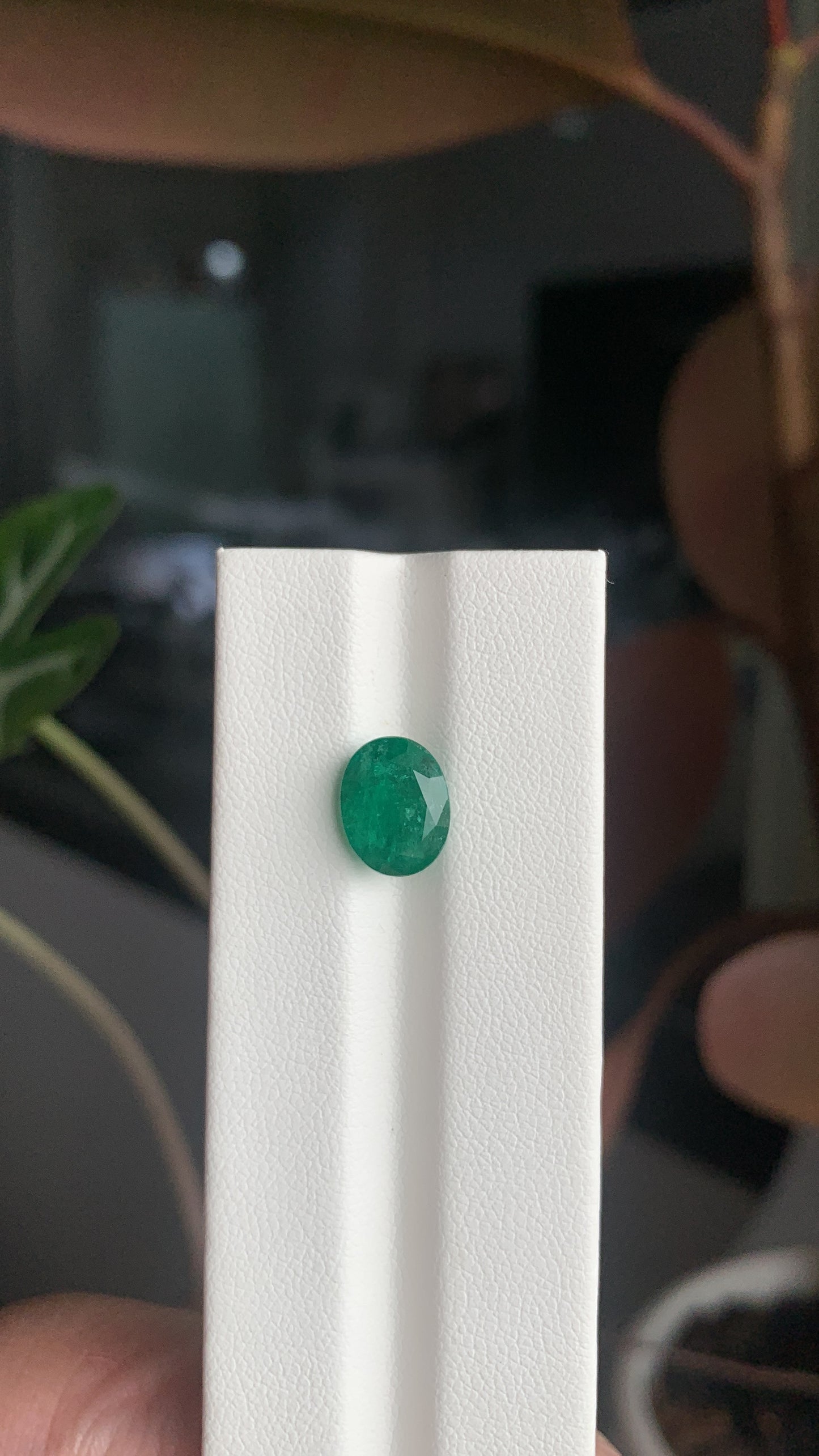EX-039 Emerald Oval 2.64cts 10.07 x 7.84 x 5.38 mm
