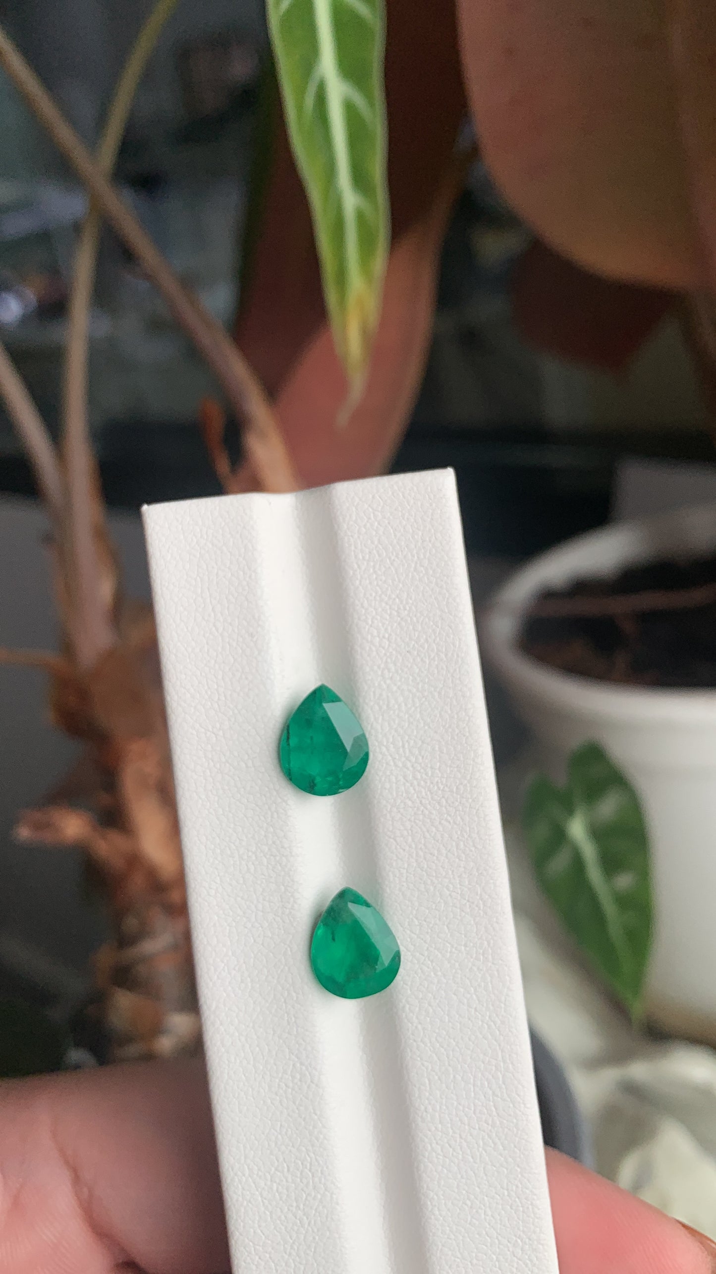 EX-069 Emerald Pear 2 pcs 3.72cts