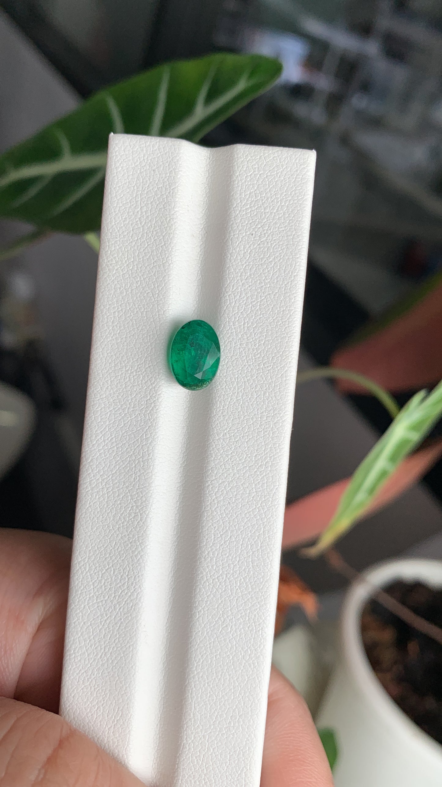 EX-051 Emerald Oval 2.18cts 9.70 x 6.92 x 5.17 mm