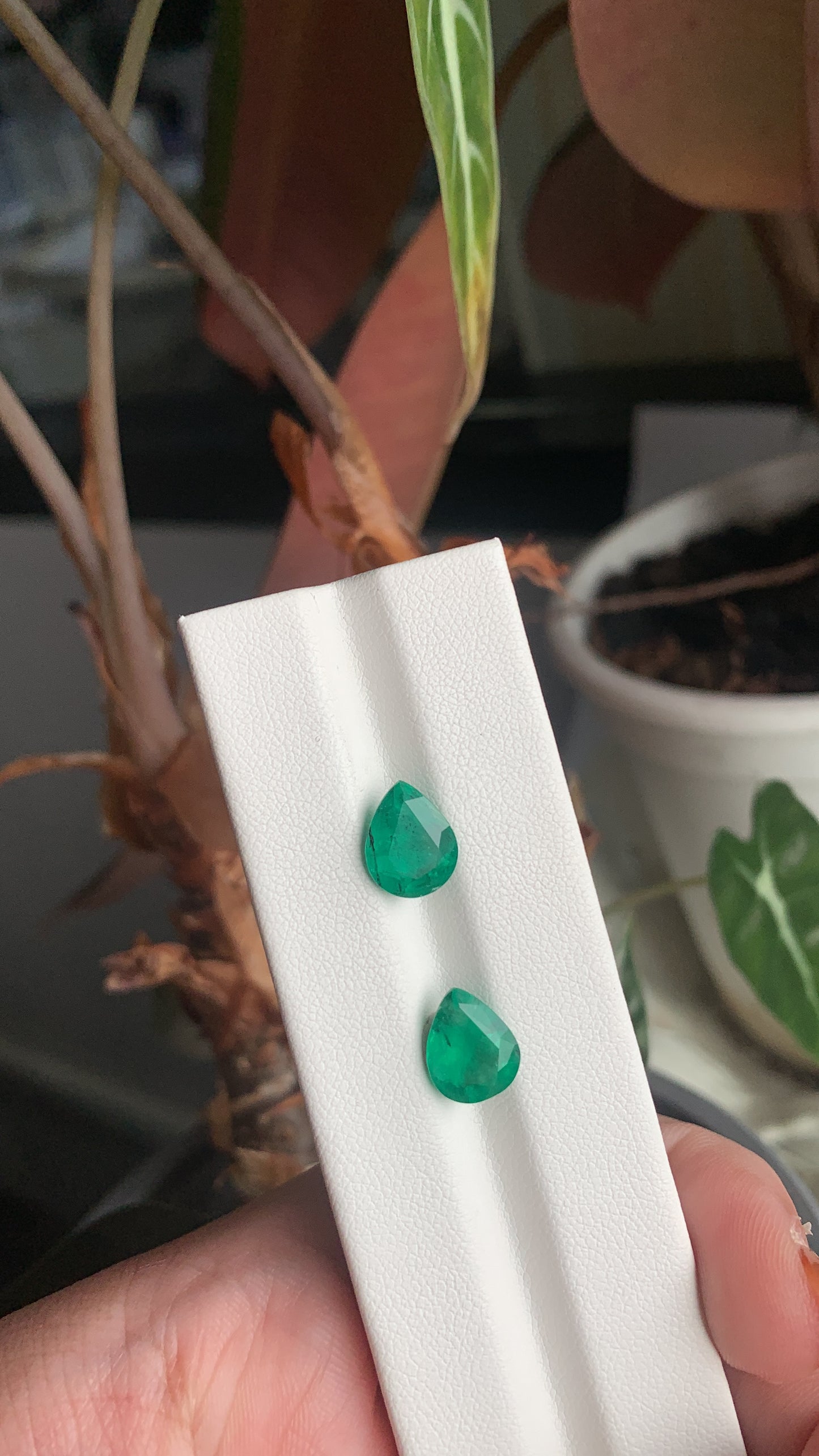 EX-069 Emerald Pear 2 pcs 3.72cts
