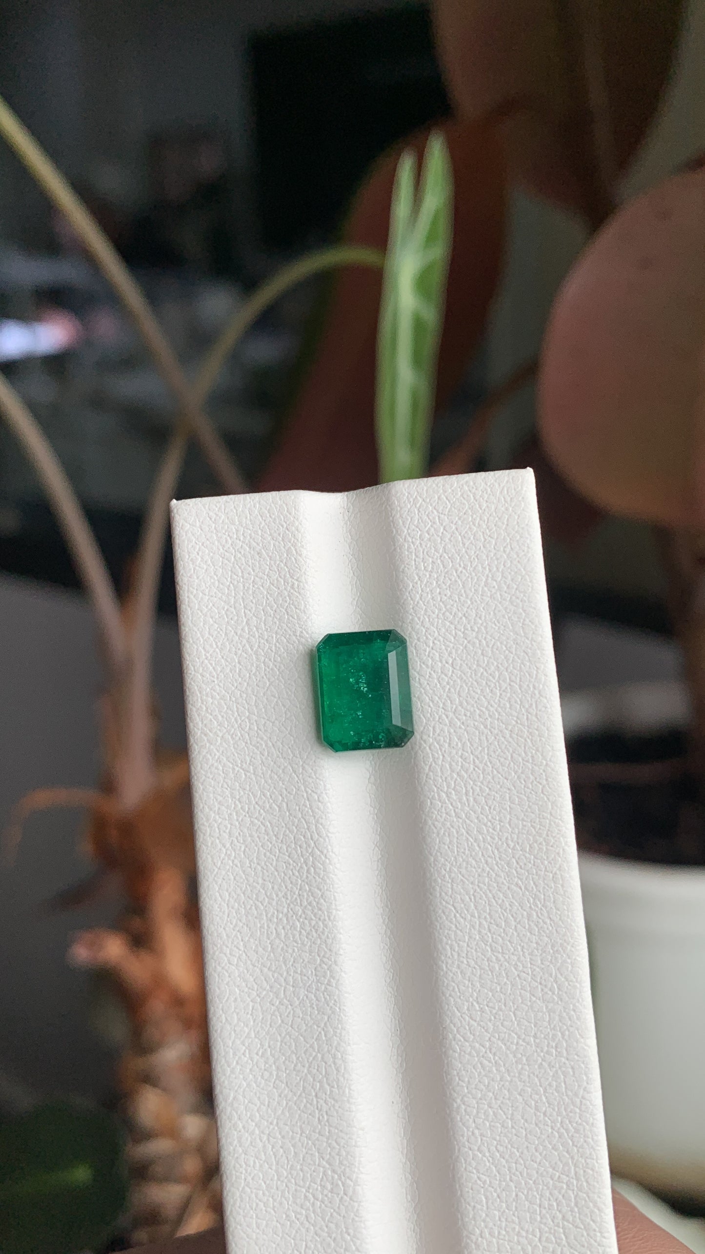 EX-025 Emerald Octagon 2.24cts 9.02 x 7.01 x 4.17 mm
