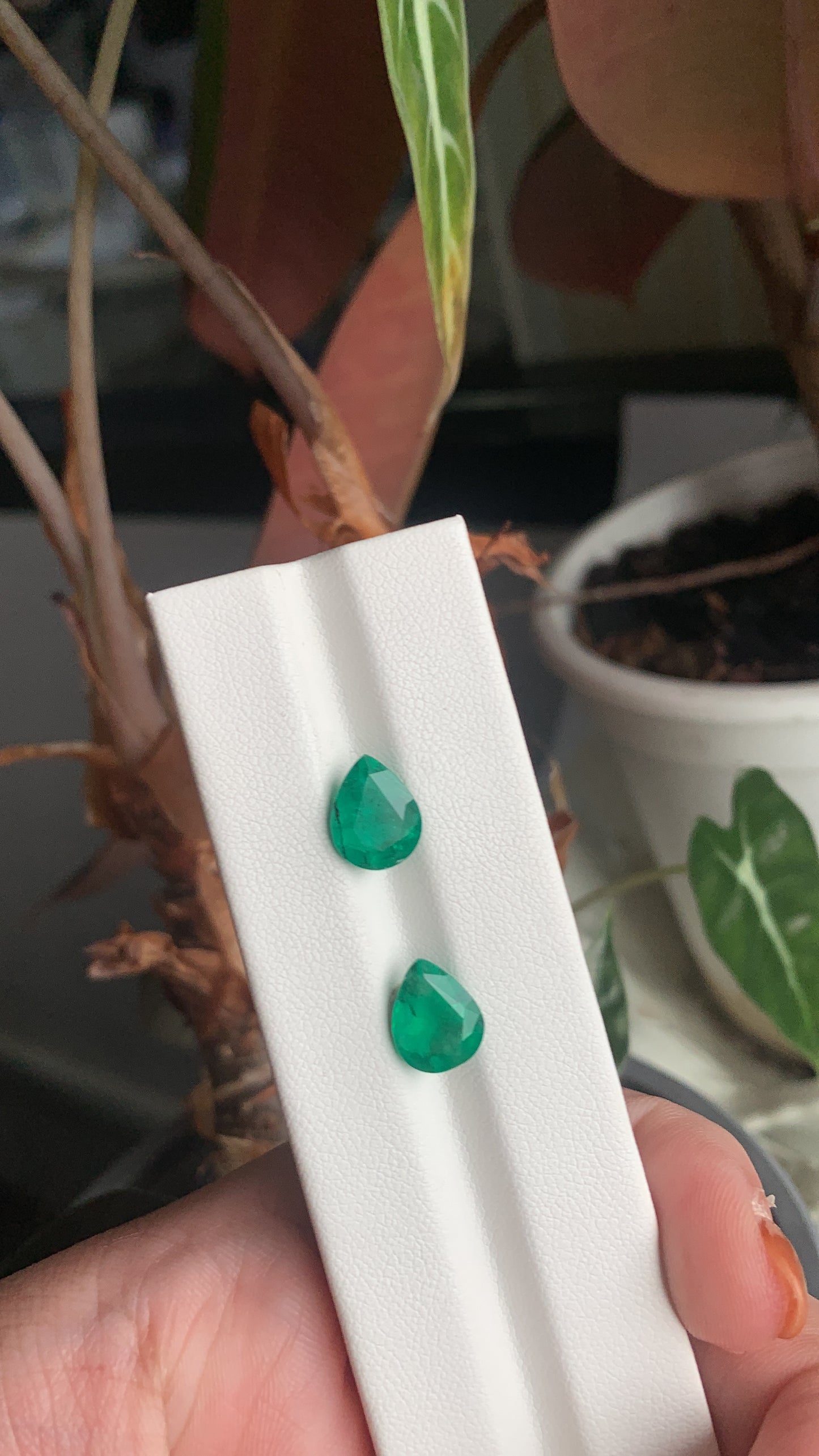EX-069 Emerald Pear 2 pcs 3.72cts