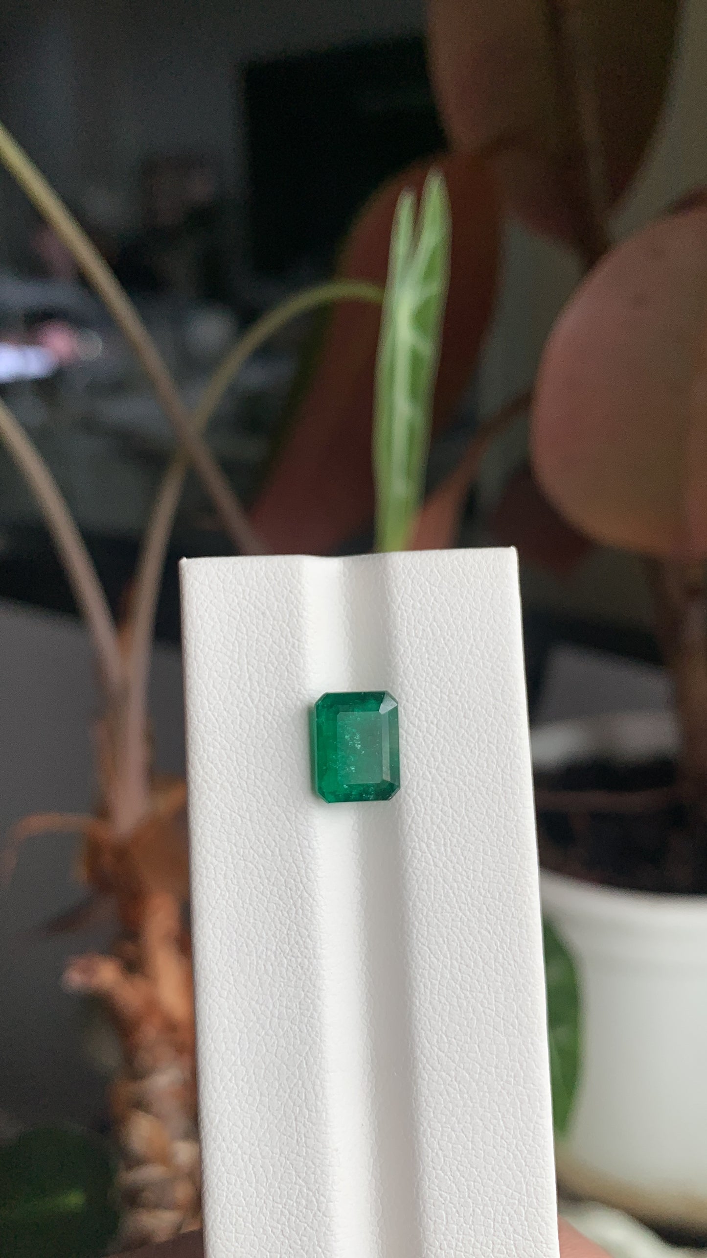 EX-025 Emerald Octagon 2.24cts 9.02 x 7.01 x 4.17 mm