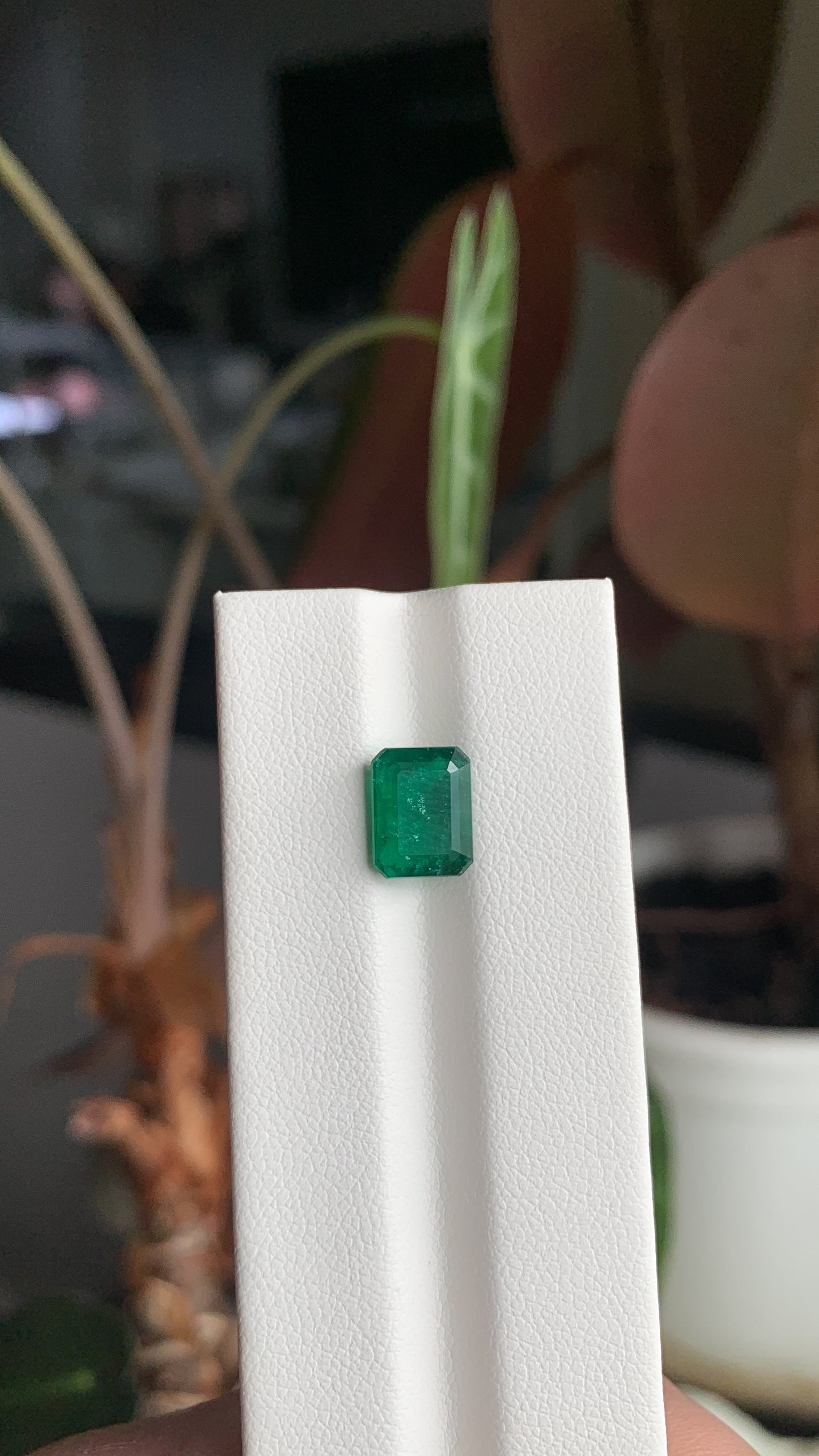EX-025 Emerald Octagon 2.24cts 9.02 x 7.01 x 4.17 mm