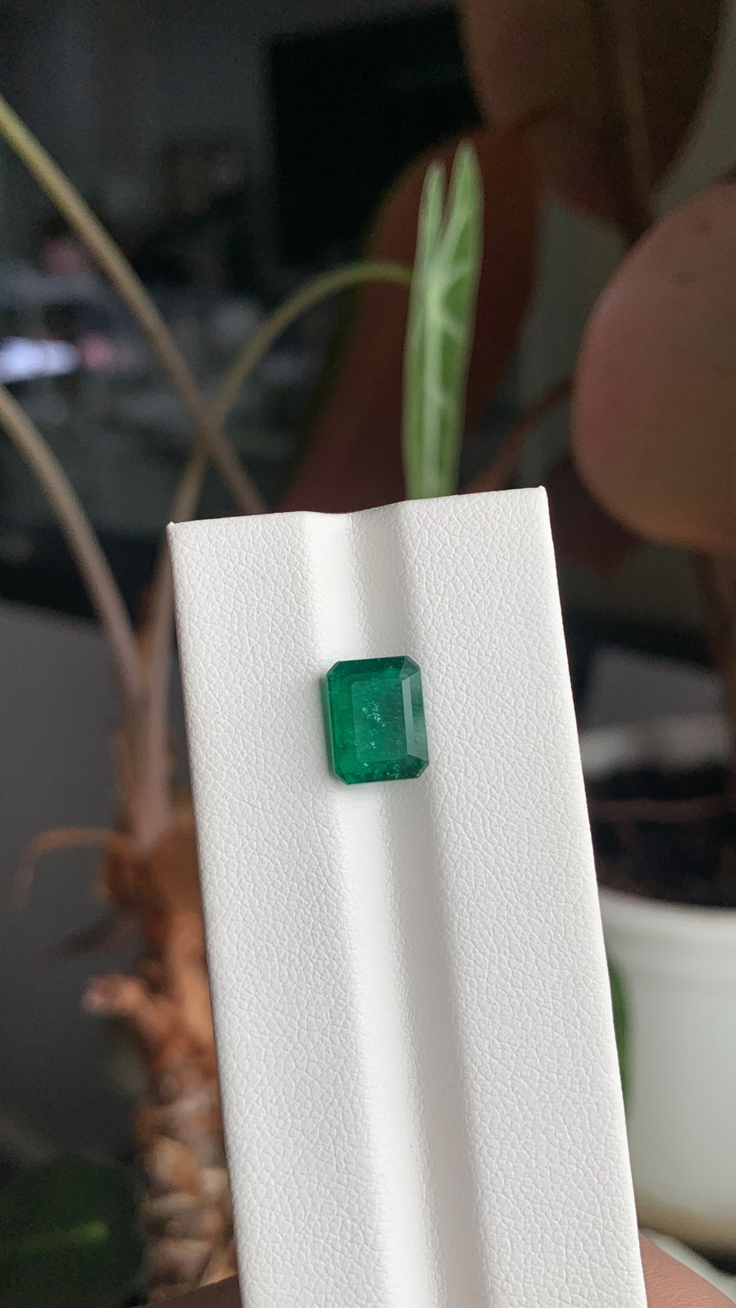 EX-025 Emerald Octagon 2.24cts 9.02 x 7.01 x 4.17 mm
