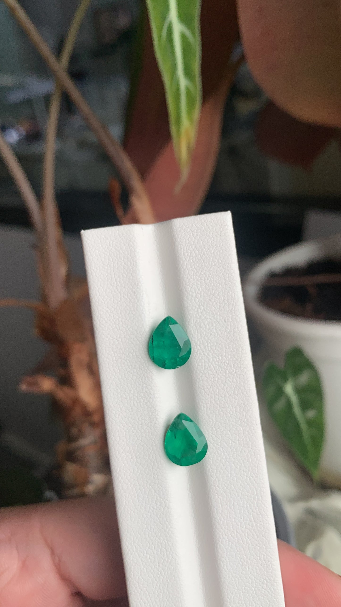 EX-069 Emerald Pear 2 pcs 3.72cts