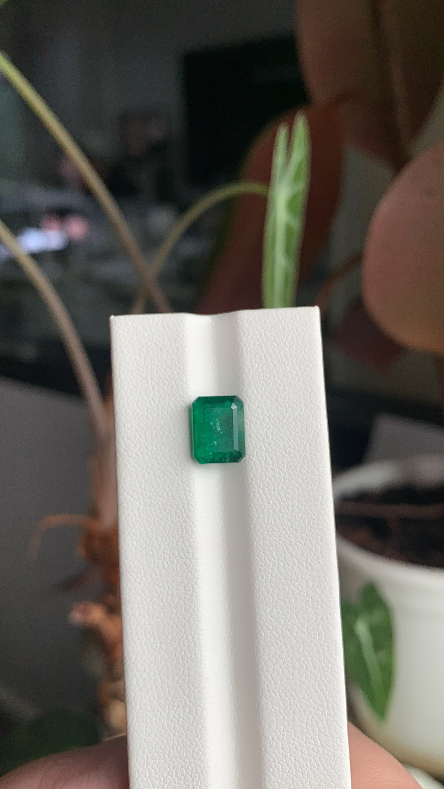 EX-025 Emerald Octagon 2.24cts 9.02 x 7.01 x 4.17 mm