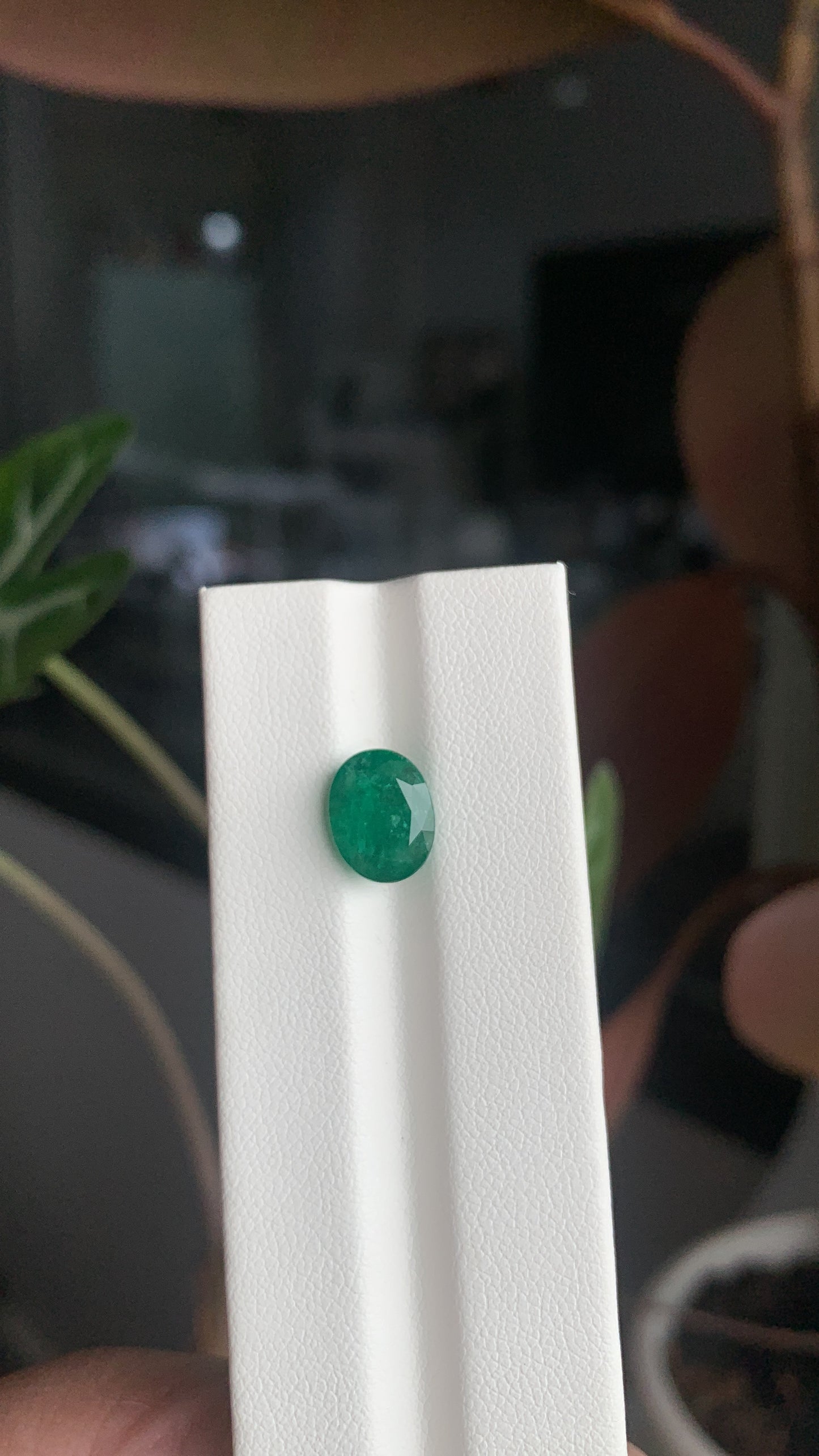 EX-039 Emerald Oval 2.64cts 10.07 x 7.84 x 5.38 mm