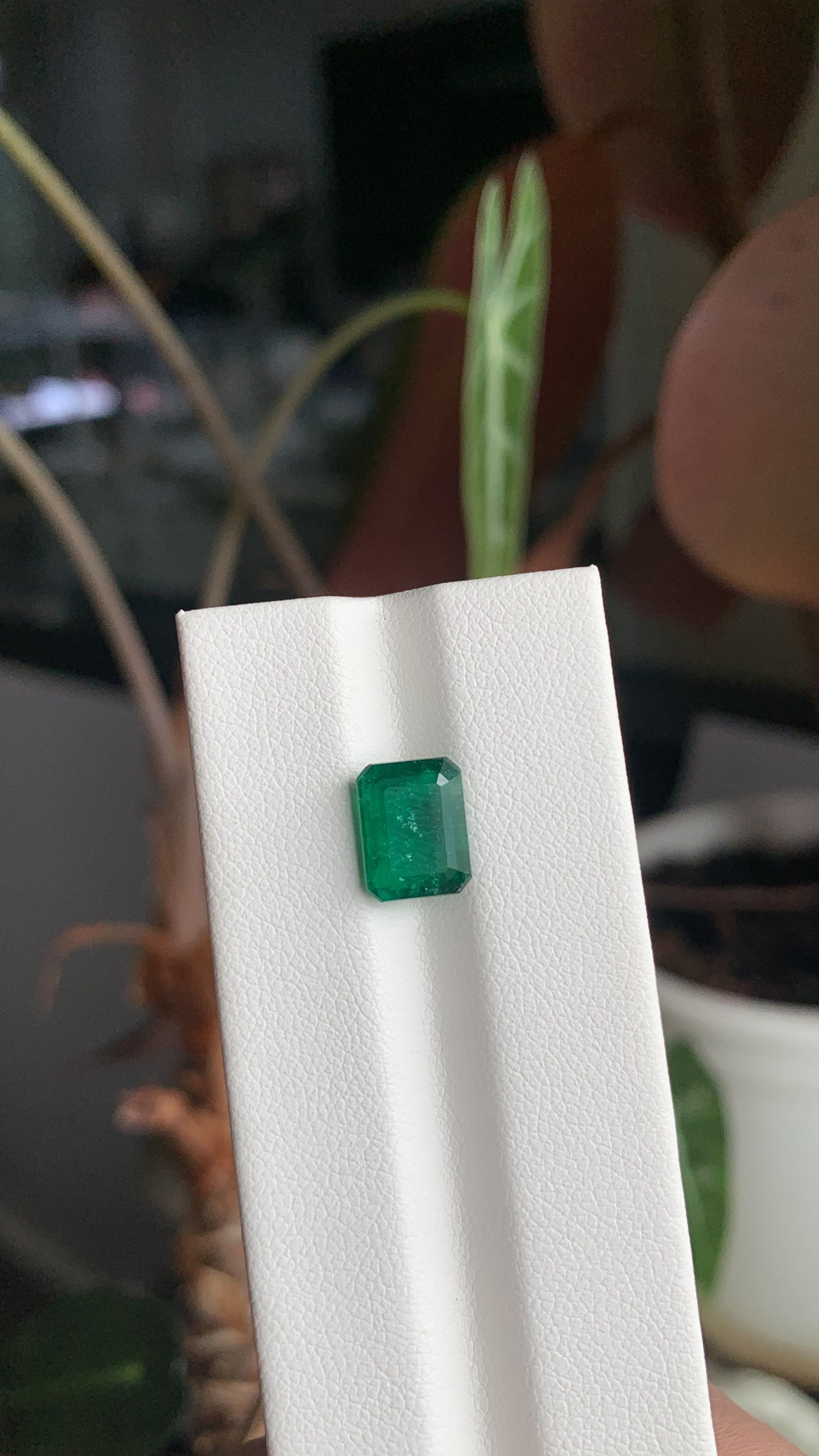 EX-025 Emerald Octagon 2.24cts 9.02 x 7.01 x 4.17 mm