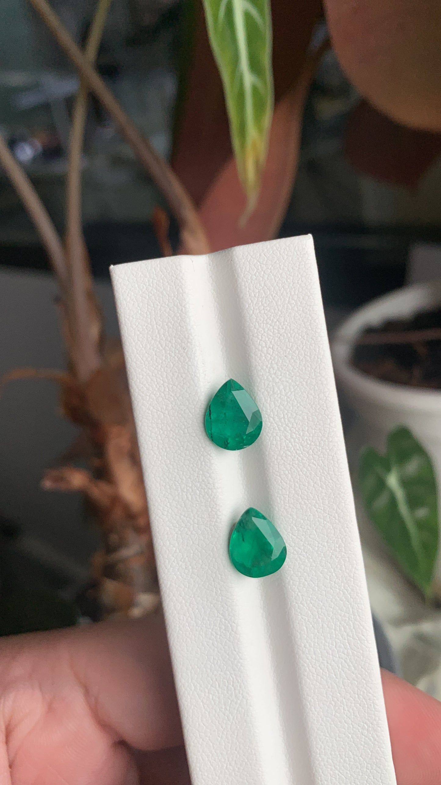 EX-069 Emerald Pear 2 pcs 3.72cts