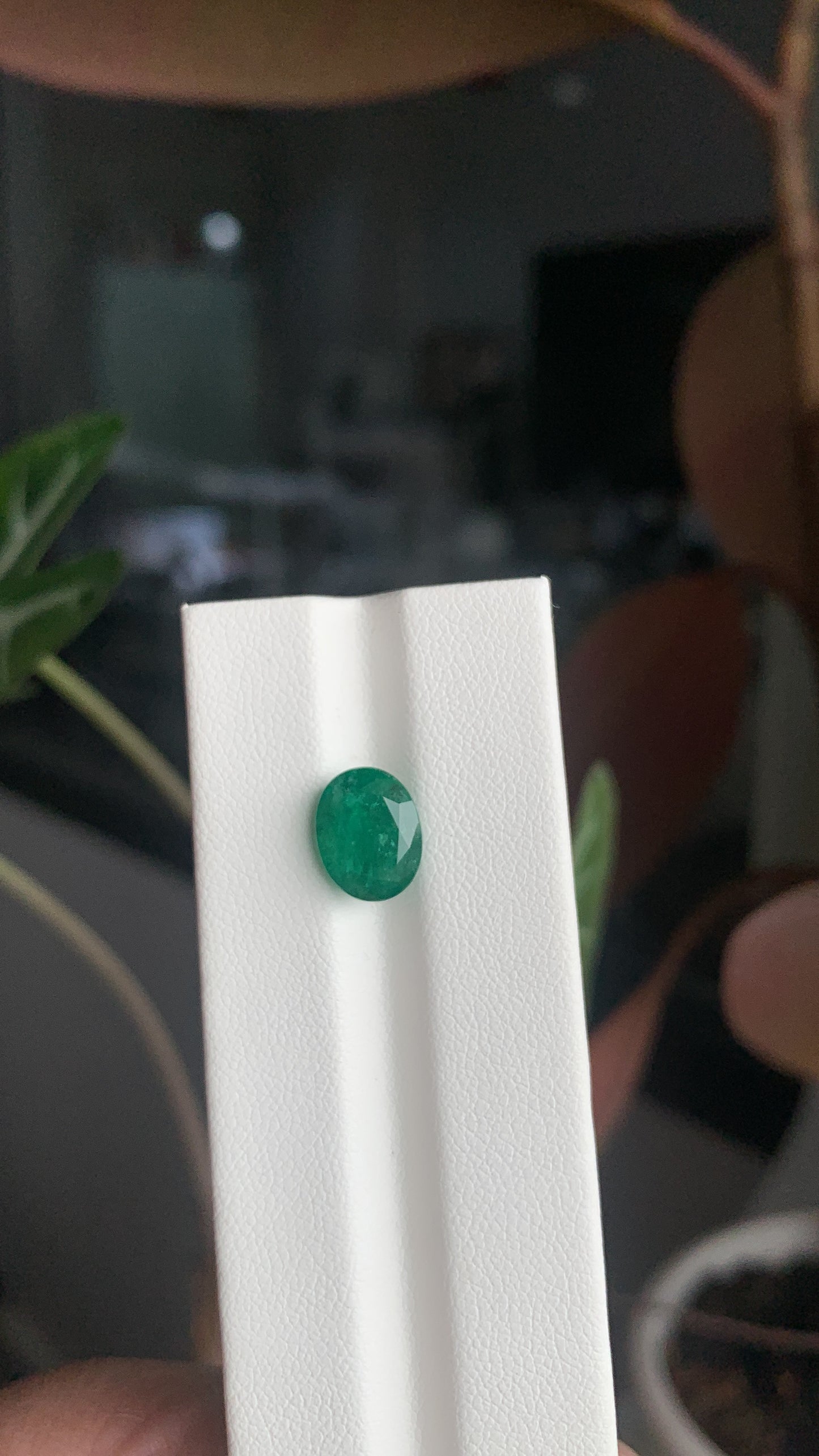 EX-039 Emerald Oval 2.64cts 10.07 x 7.84 x 5.38 mm