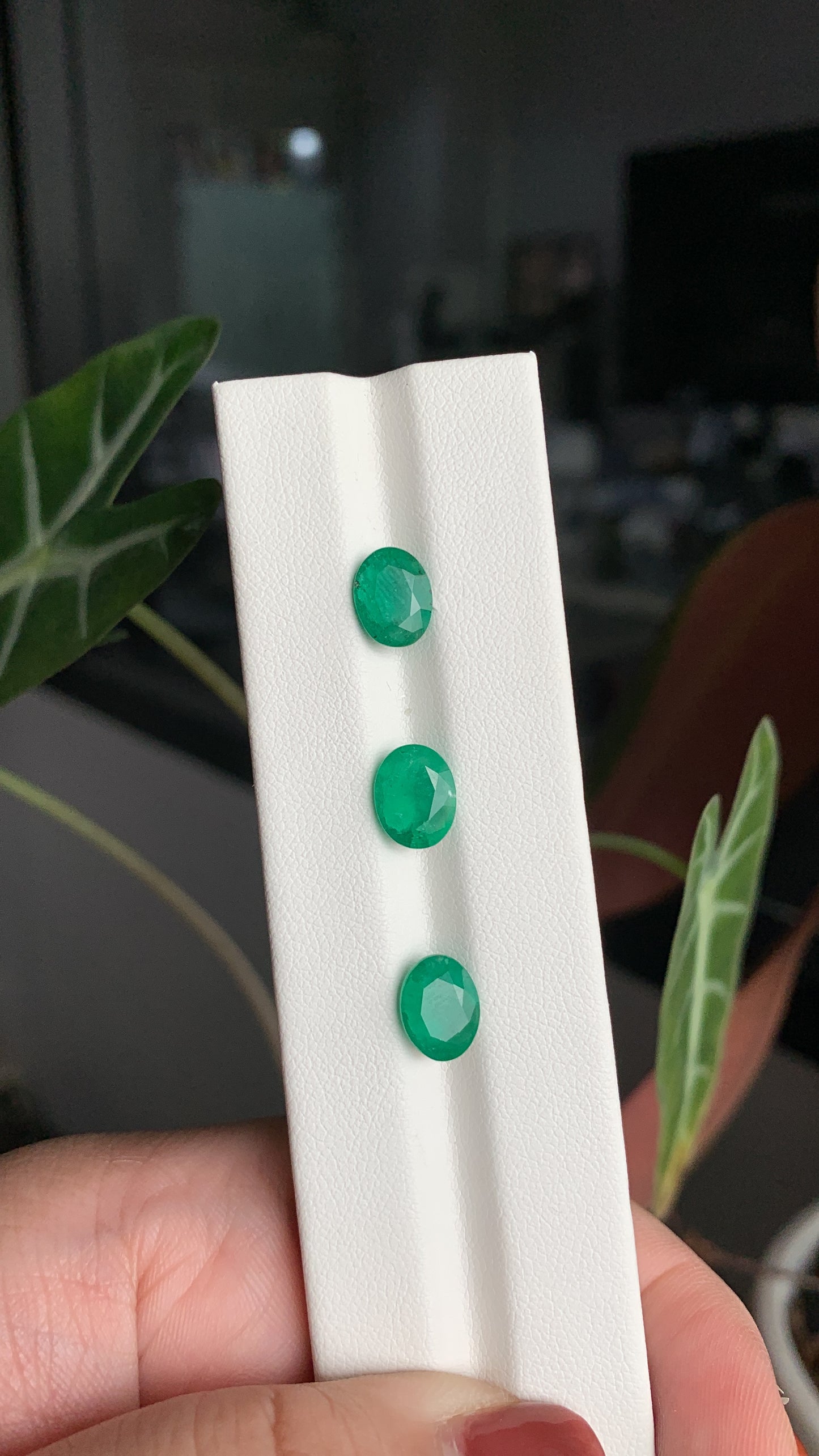 EX-048 Emerald Oval 3 pcs 4.87 cts