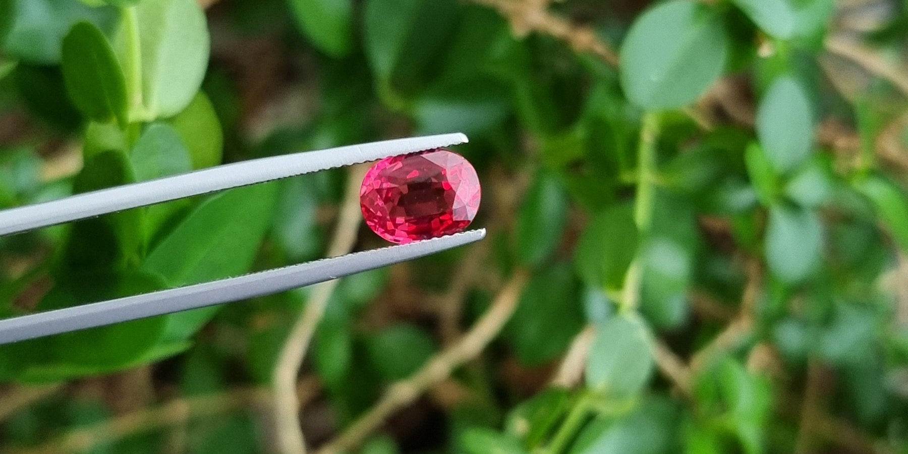 Vietnamese spinel for sale at Casa Jewels.