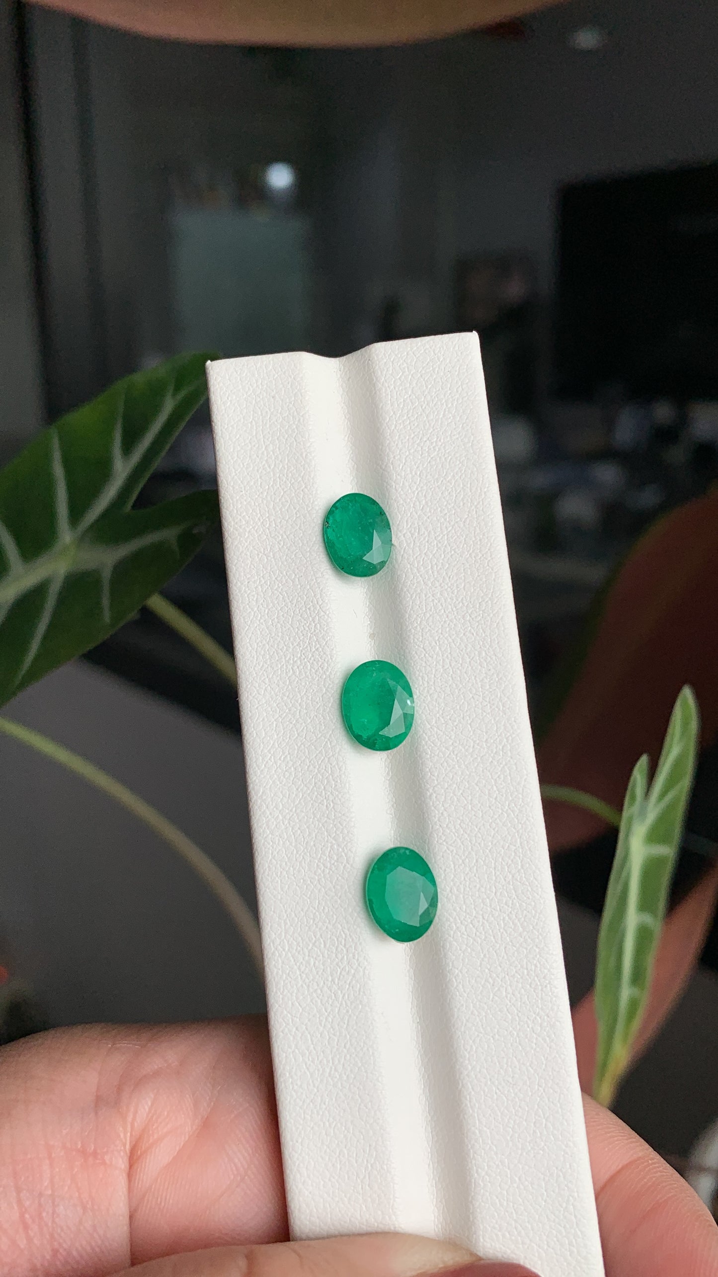 EX-048 Emerald Oval 3 pcs 4.87 cts