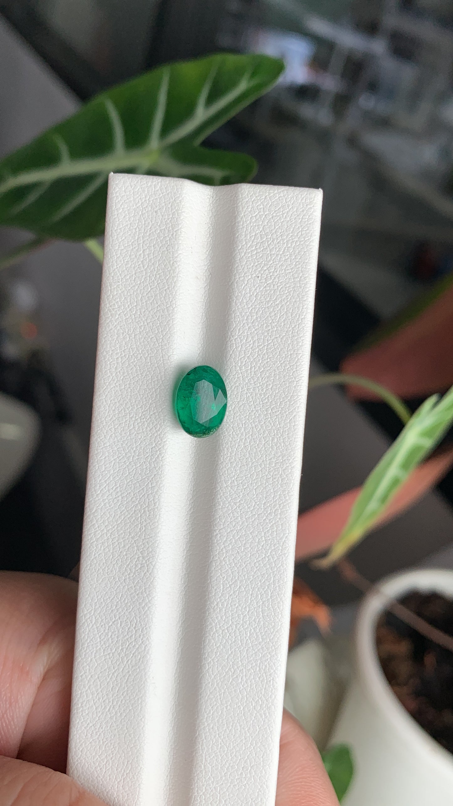 EX-051 Emerald Oval 2.18cts 9.70 x 6.92 x 5.17 mm