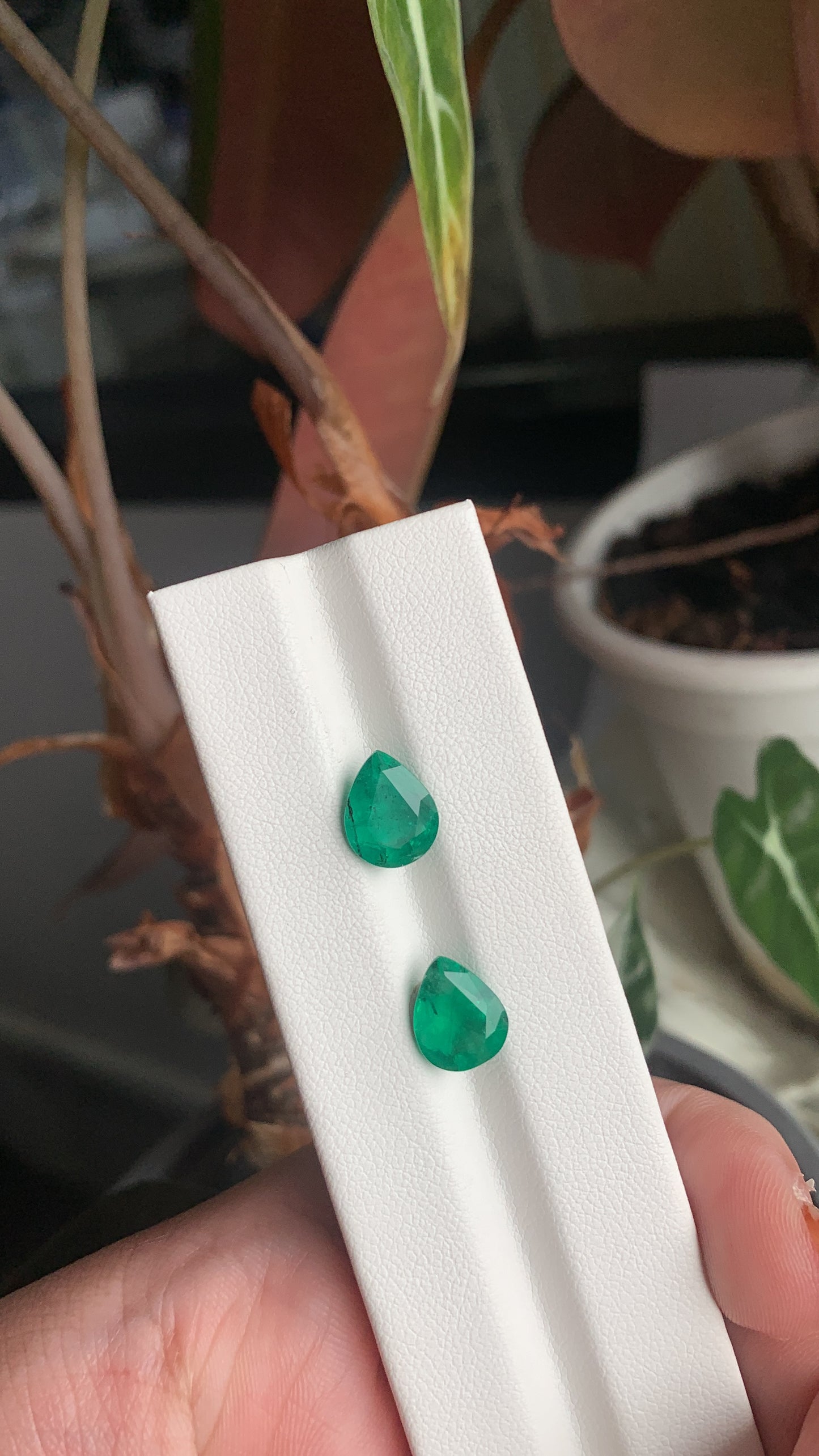 EX-069 Emerald Pear 2 pcs 3.72cts