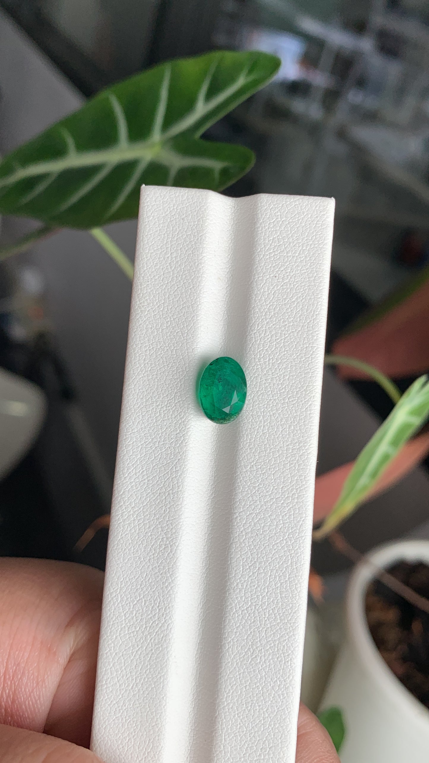 EX-051 Emerald Oval 2.18cts 9.70 x 6.92 x 5.17 mm