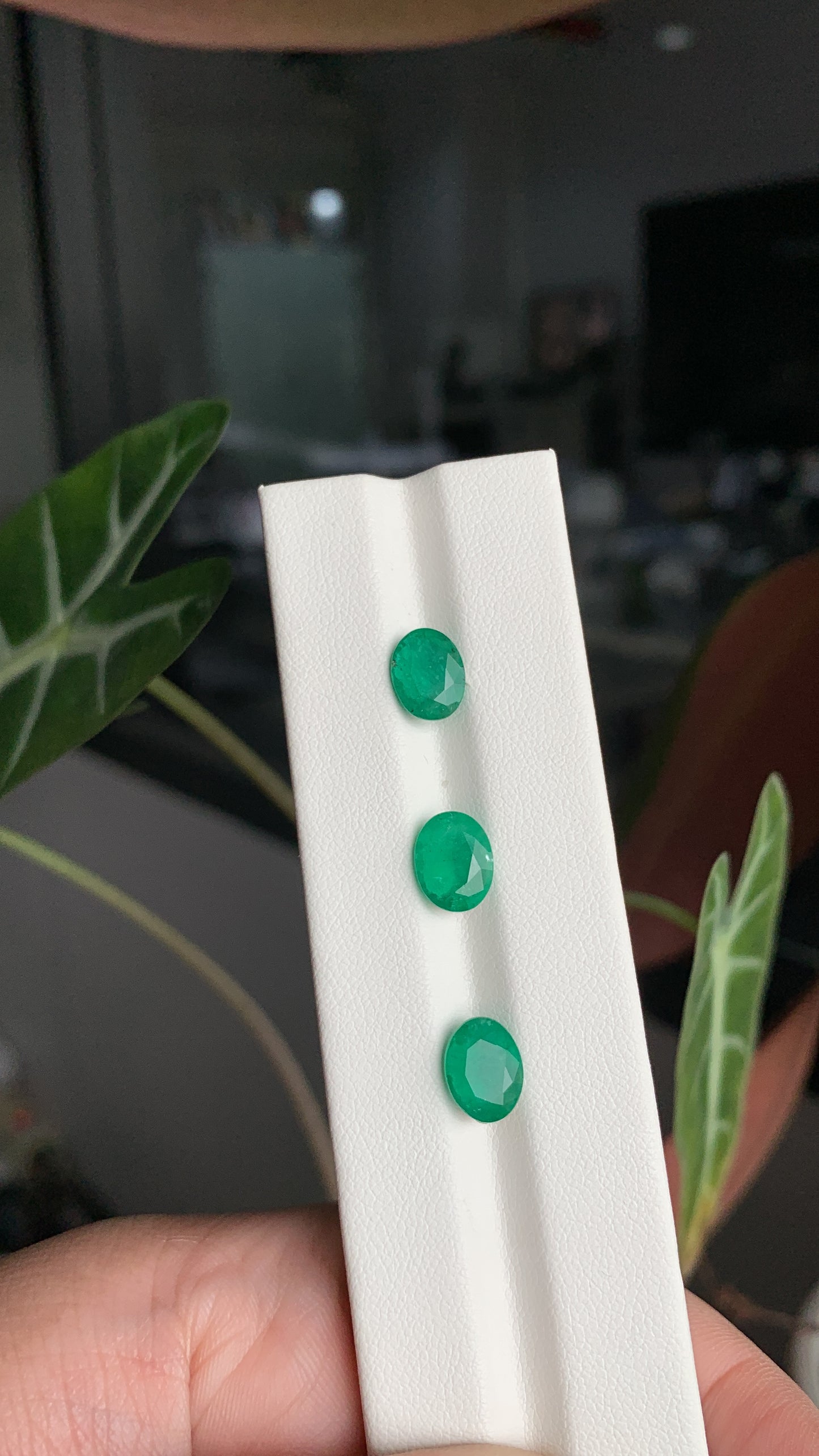 EX-048 Emerald Oval 3 pcs 4.87 cts