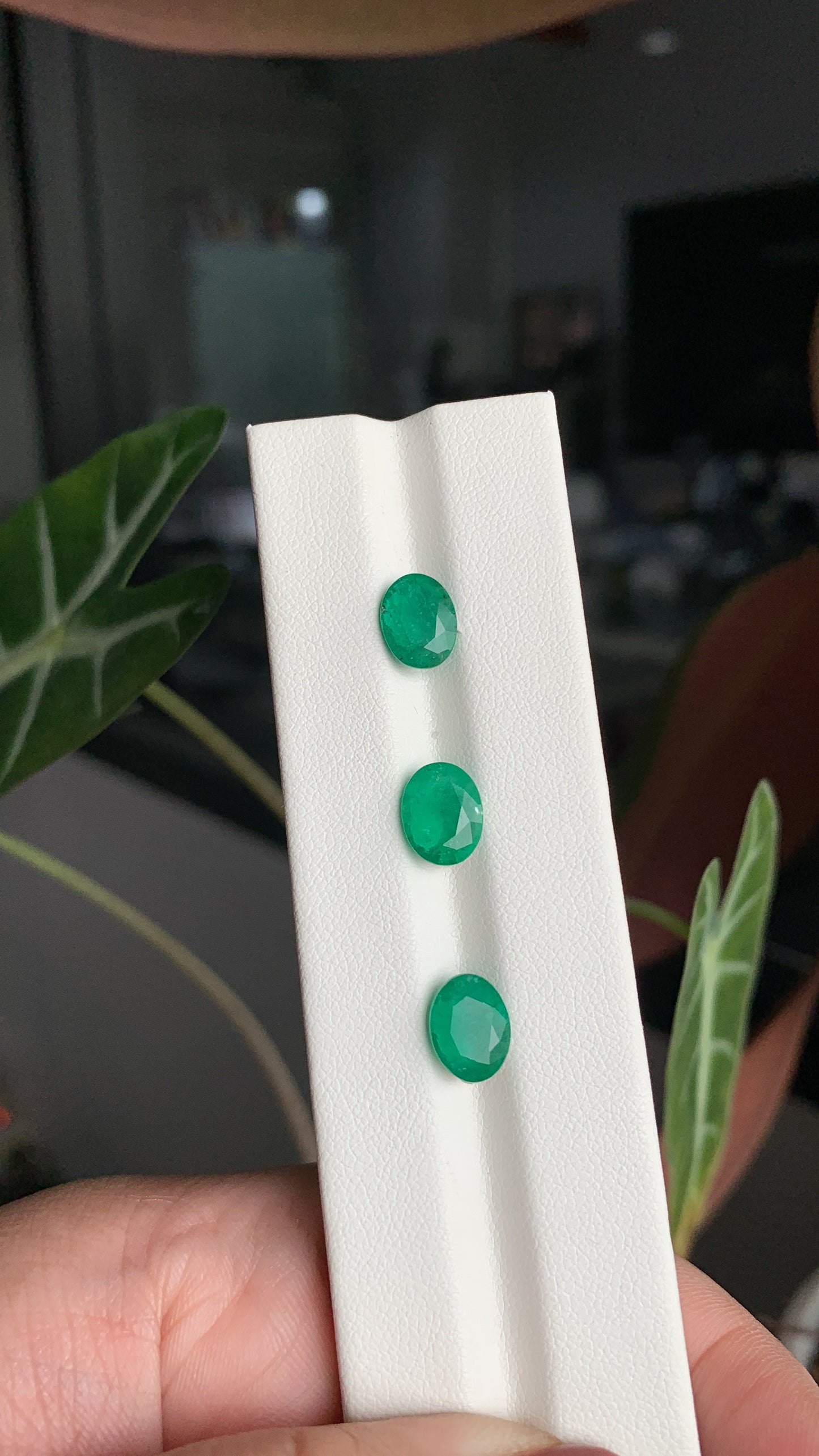EX-048 Emerald Oval 3 pcs 4.87 cts