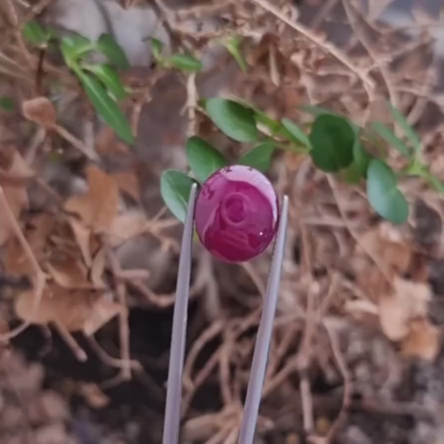 Oval Cabochon Ruby From Mozambique With Total Carat Weight 15.50