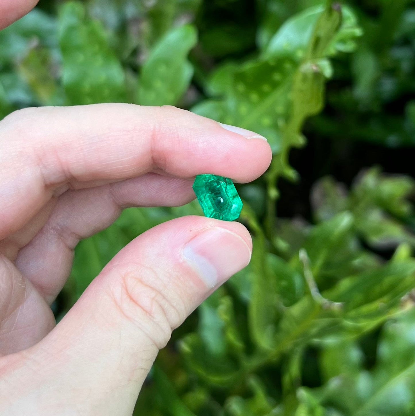 Ural Octagon Emerald 4.49 CTS with GRS